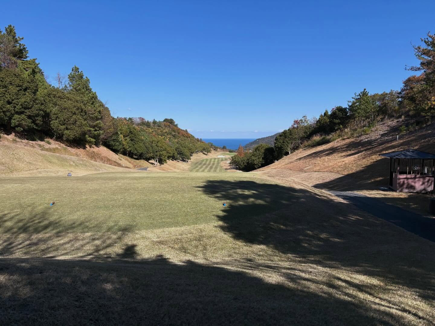 私たちは年末の忘年会を兼ねて、ゴルフを楽しむため徳島県を訪れ